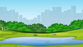城市河湖水情