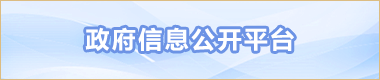 政府信息公开平台